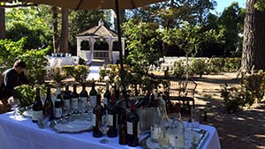 Outside Patio Wine Bar