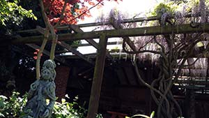 Backyard Atrium with Flowers