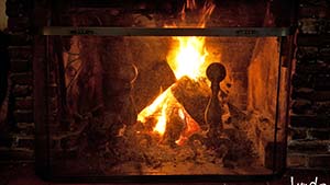 Historic Fireplace