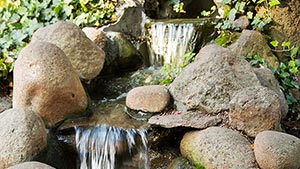 Relaxing Waterfall